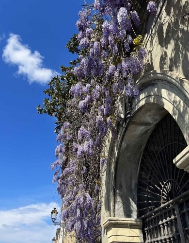 La Primavera è Qui - Gallery Slide #31