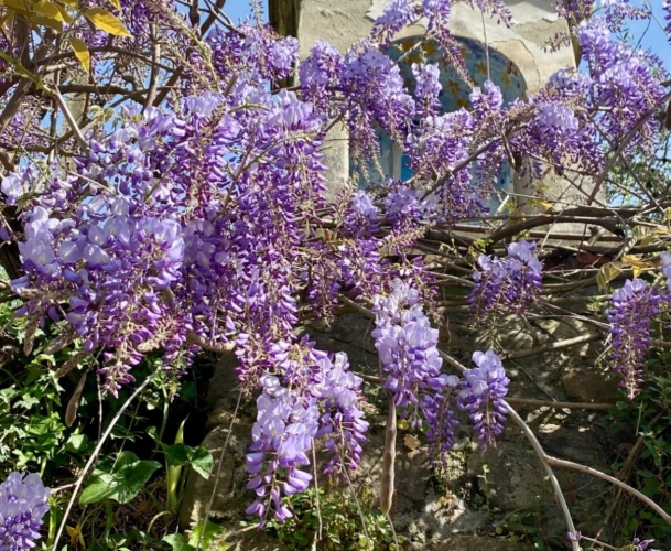 La Primavera è Qui - Gallery Slide #33