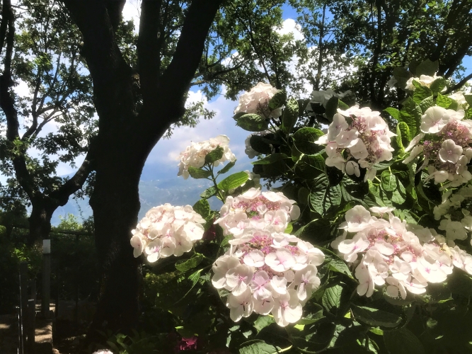 La Primavera è Qui - Gallery Slide #25