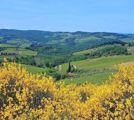 La Primavera è Qui - Gallery Slide #3