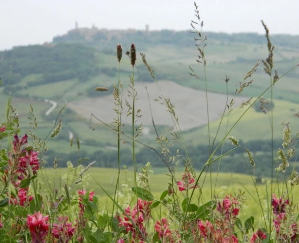 La Primavera è Qui - Gallery Slide #44