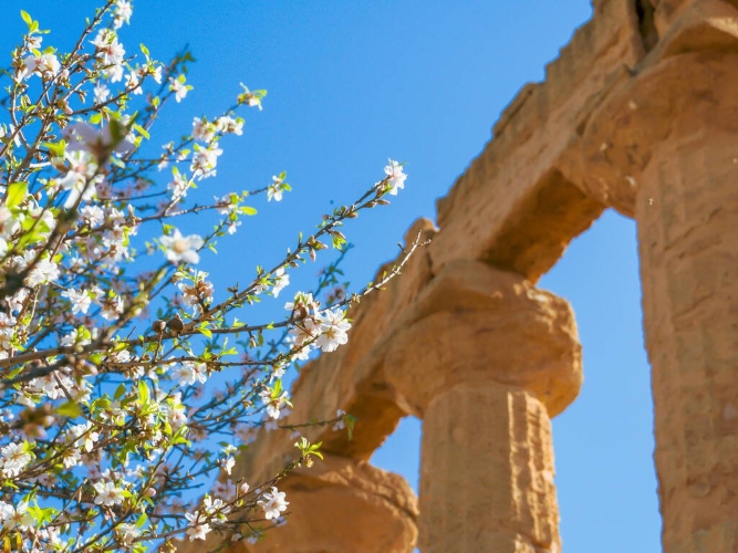 La Primavera è Qui - Gallery Slide #34