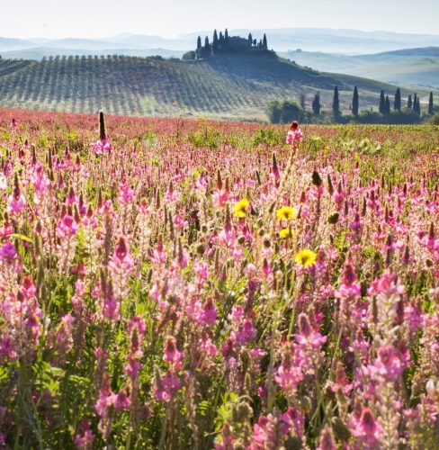 La Primavera è Qui - Gallery Slide #17