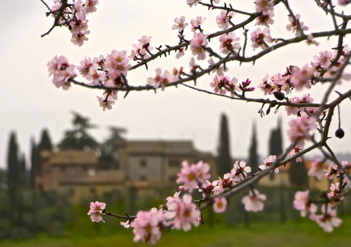 La Primavera è Qui - Gallery Slide #9