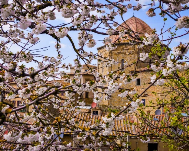 La Primavera è Qui - Gallery Slide #5