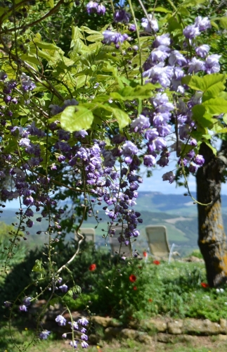 La Primavera è Qui - Gallery Slide #54