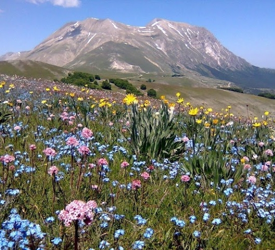 La Primavera è Qui - Gallery Slide #32