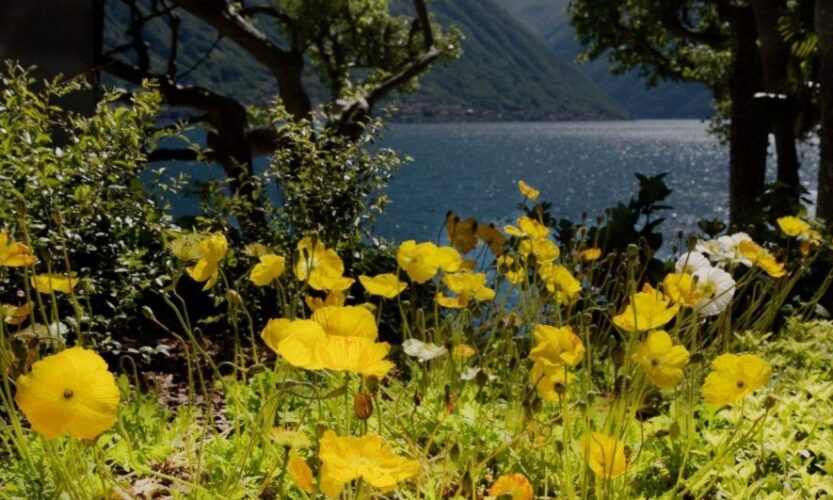 La Primavera è Qui - Gallery Slide #57